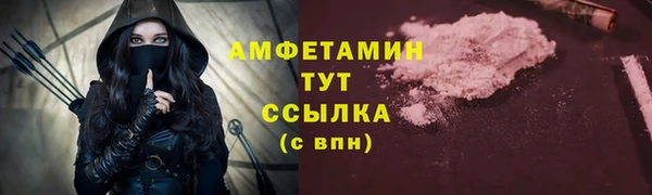 хмурый Бородино