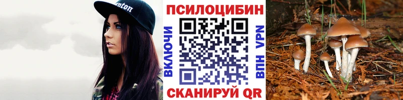 Псилоцибиновые грибы Psilocybe  Мегион 