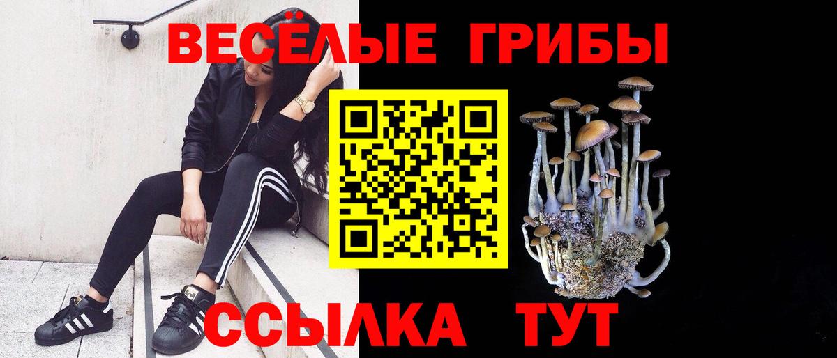 Псилоцибиновые грибы прущие грибы Мегион