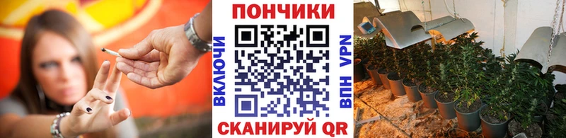 Канабис Bruce Banner  дарнет шоп  Мегион 